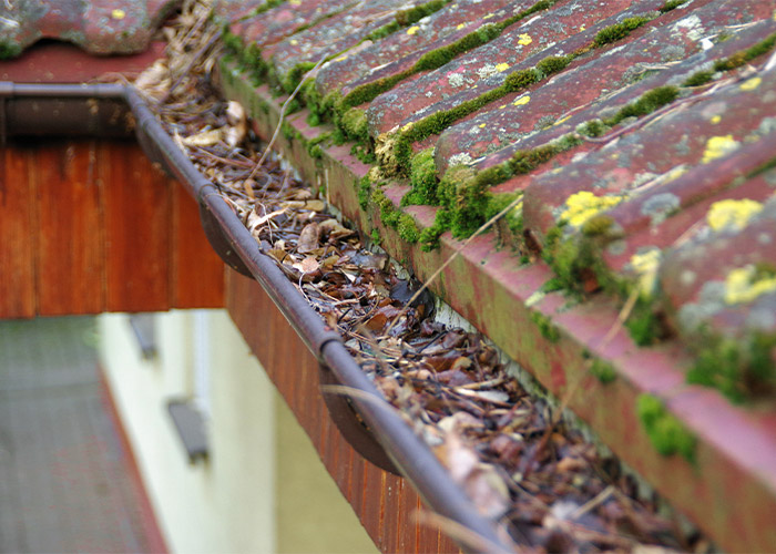 a gutter with seasonal debris in it
